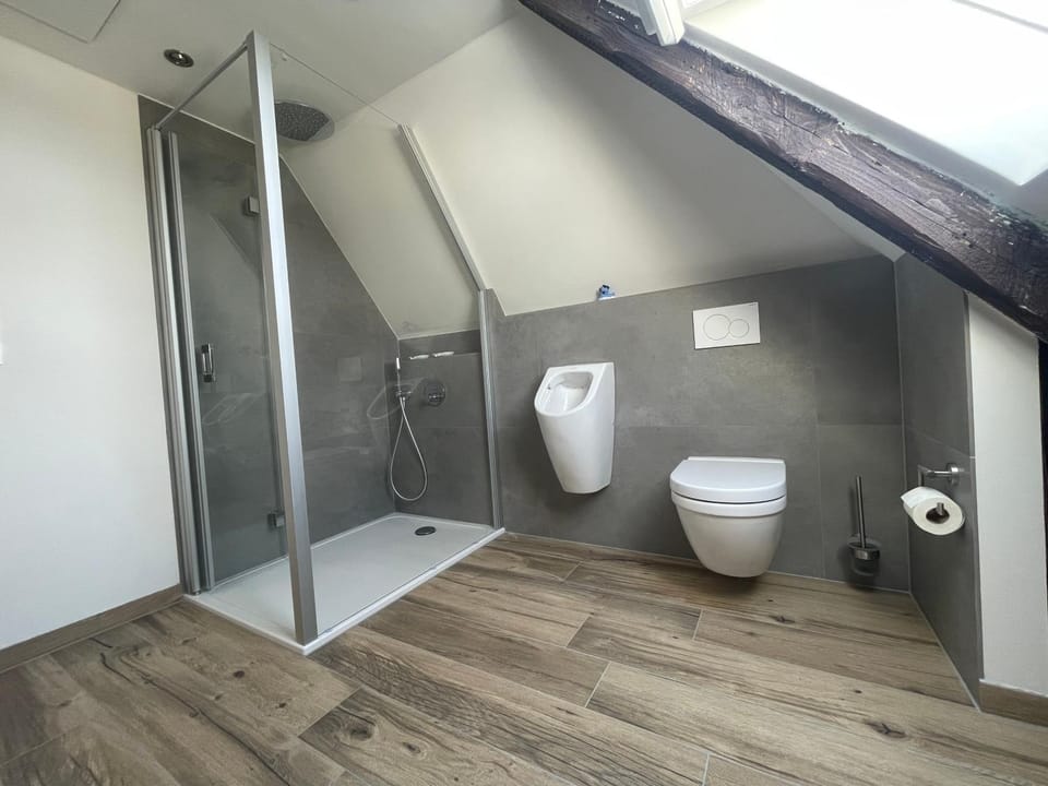 Shower, Toilet, Bathroom, towels