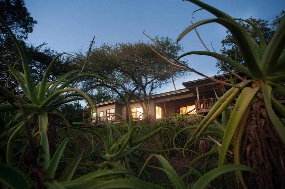 Property building, Night