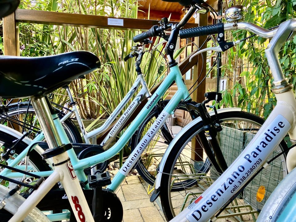 Cycling, Cycling