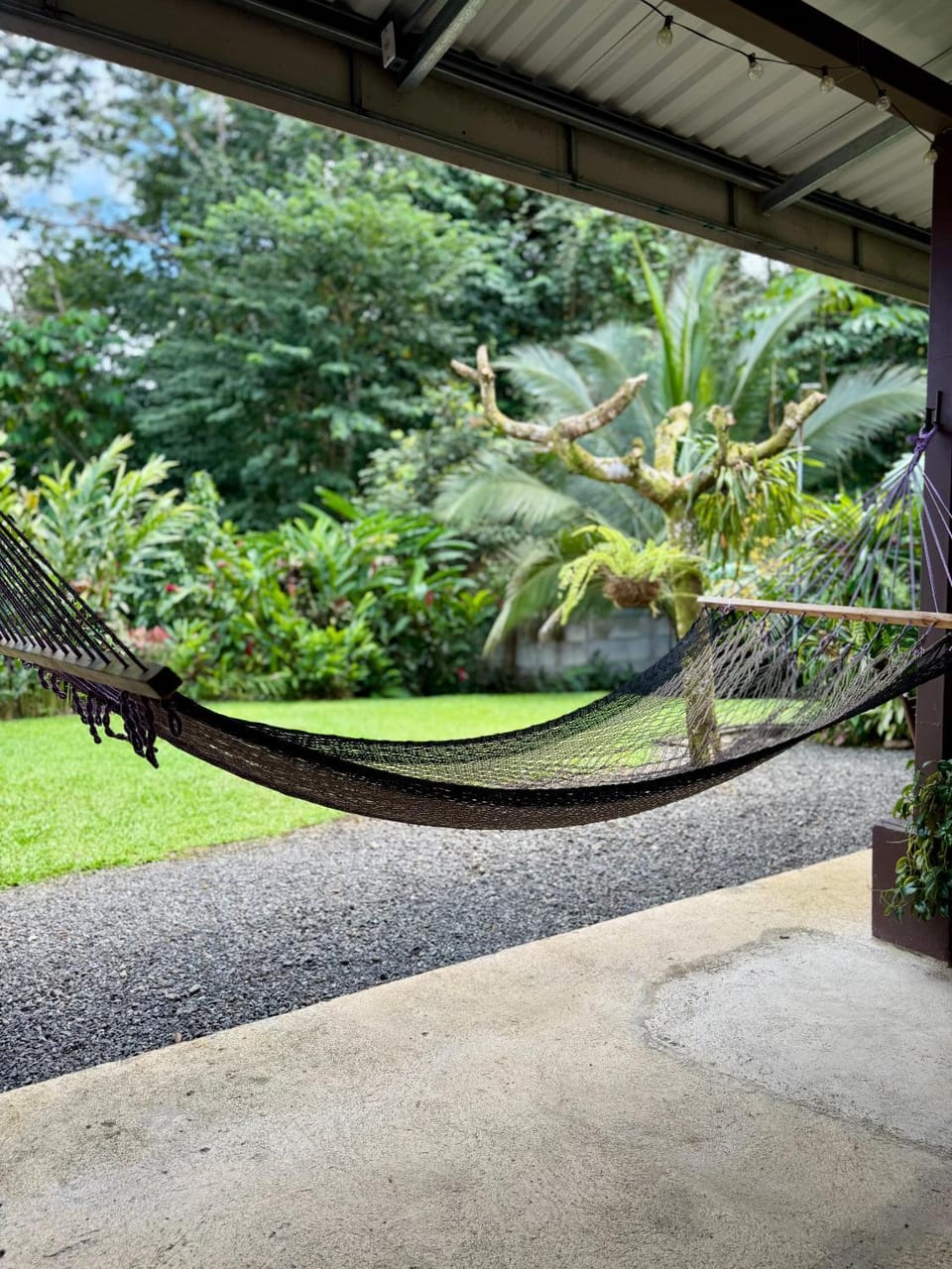 Patio, Garden, Seating area, Garden view