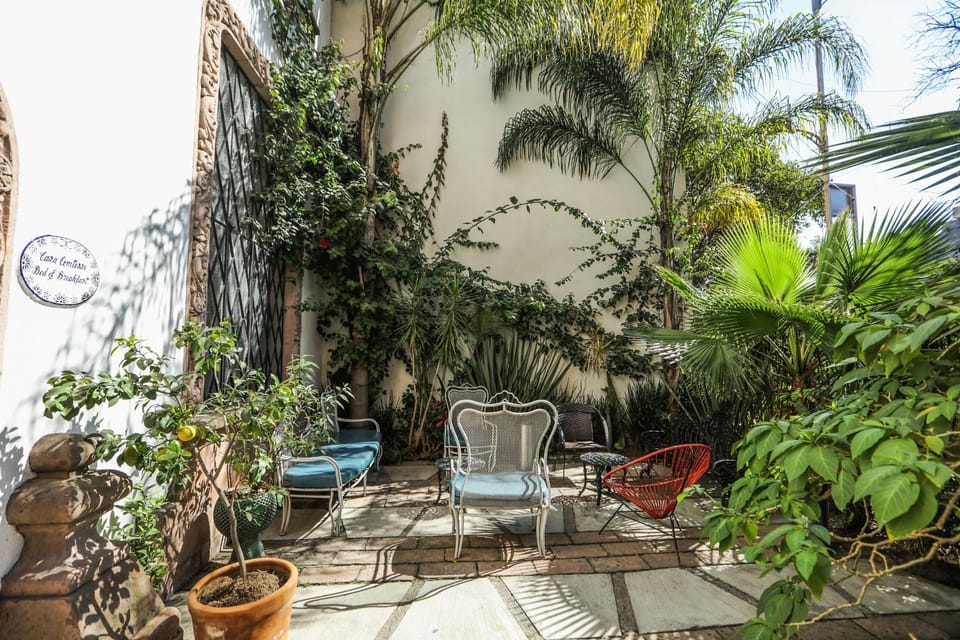 Patio, Garden, Seating area