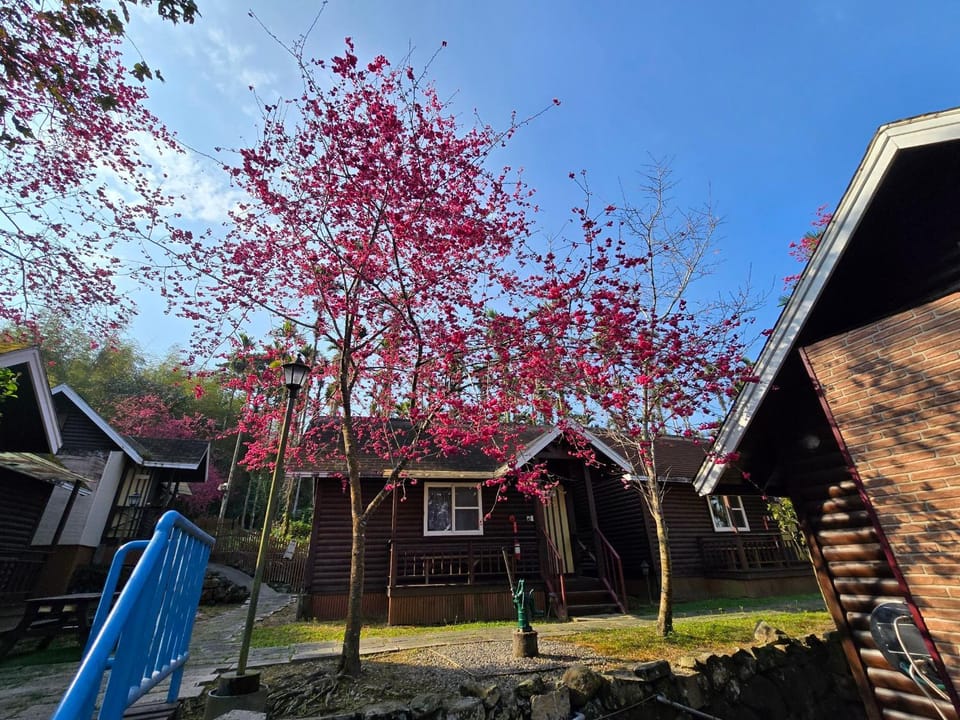 杉溪鹿莊園-溪頭獨棟式小木屋 & 如需溜滑房型請選請選家庭房 Vacation rental in Taiwan, Province of China