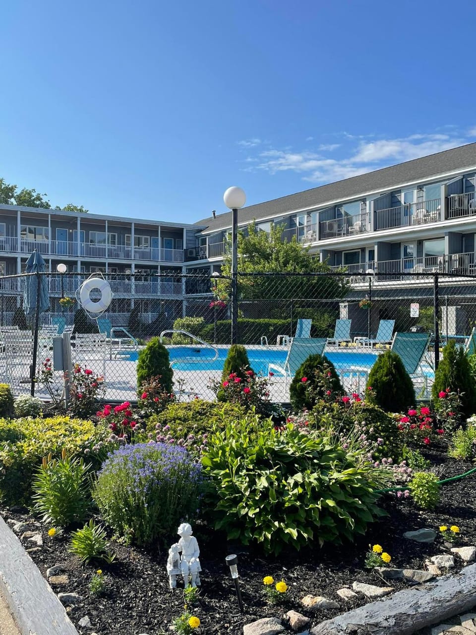 Garden, Swimming pool
