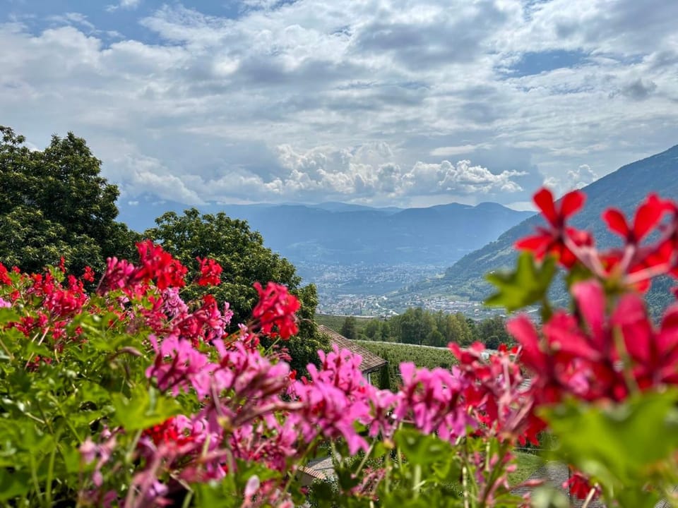 View (from property/room), Mountain view