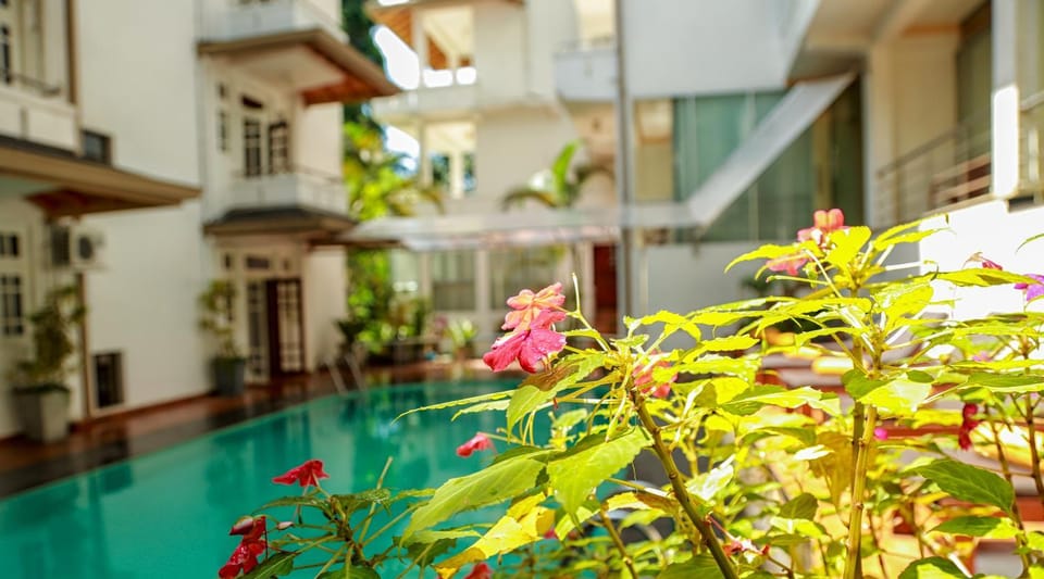 Garden, Pool view, Swimming pool