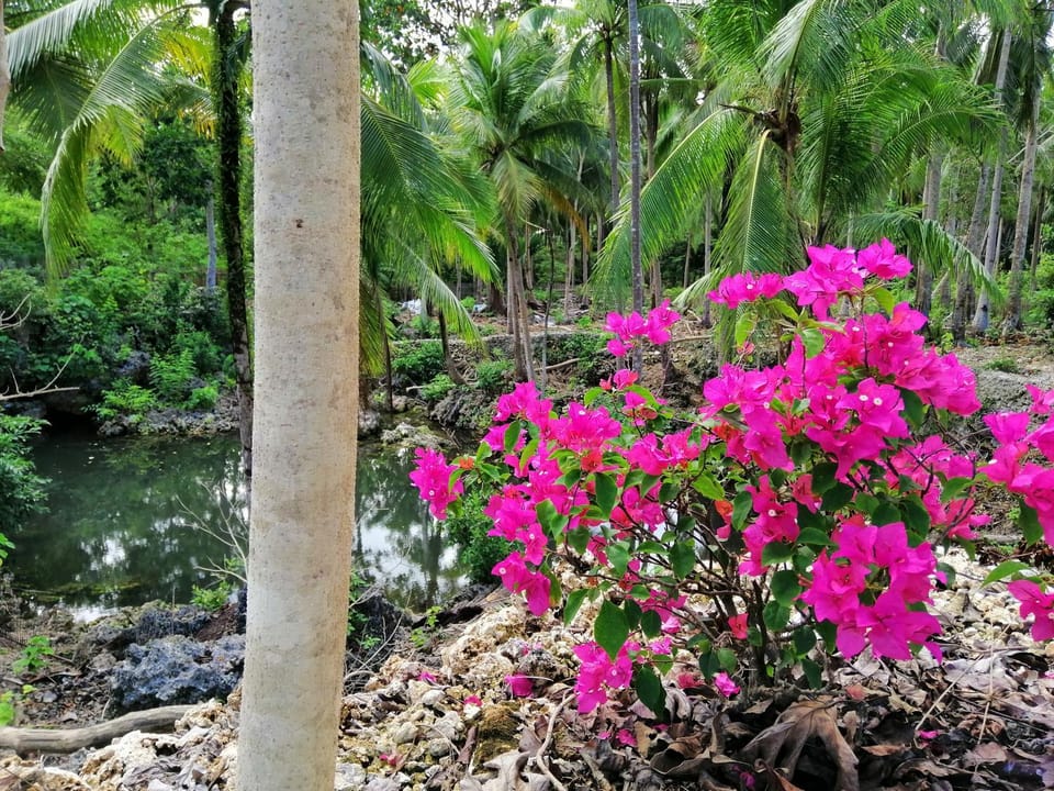 Andnindot garden resort Resort in Central Visayas