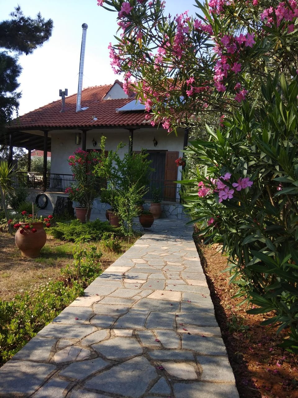Smaro's House Apartment in Thasos