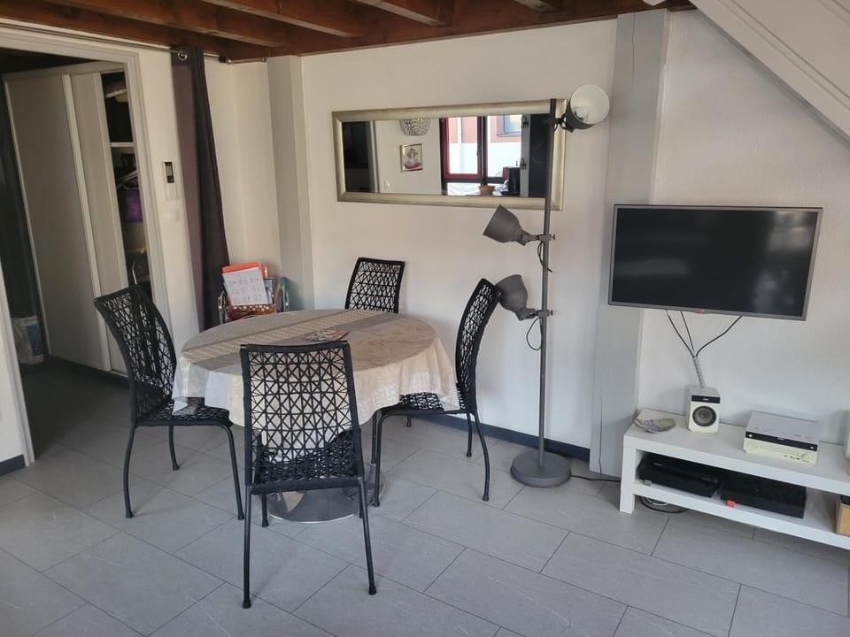 La SALAMANDRE Apartment in Gérardmer