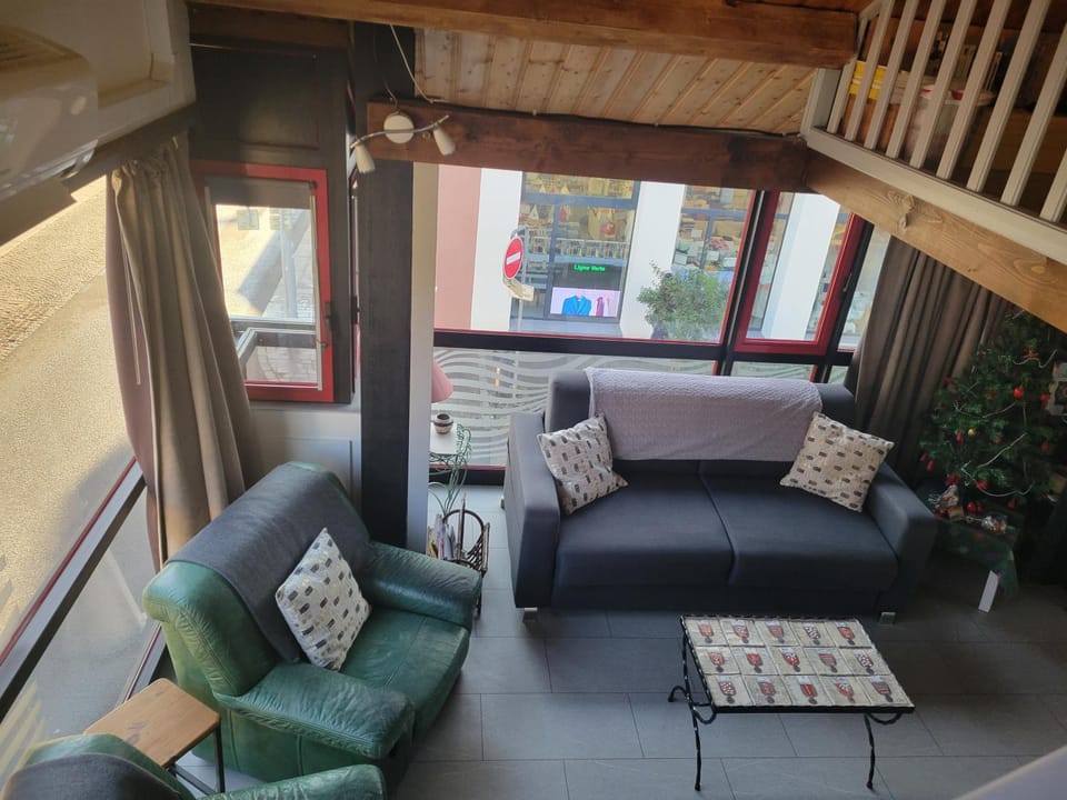 La SALAMANDRE Apartment in Gérardmer