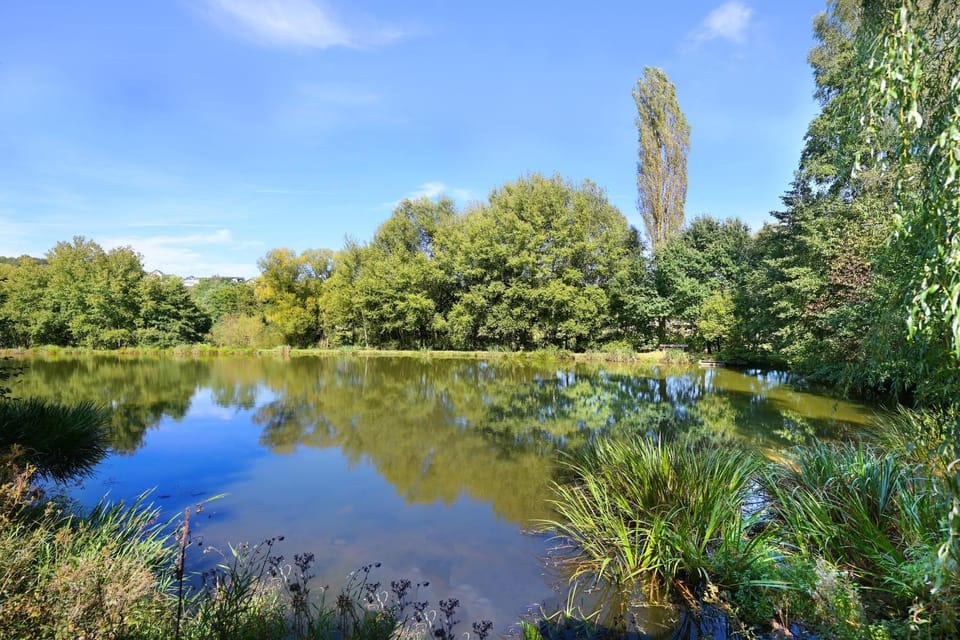Natural landscape