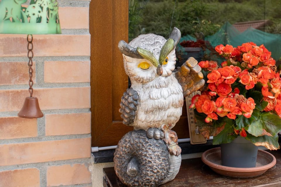Ramoscello Bed and Breakfast in Liguria