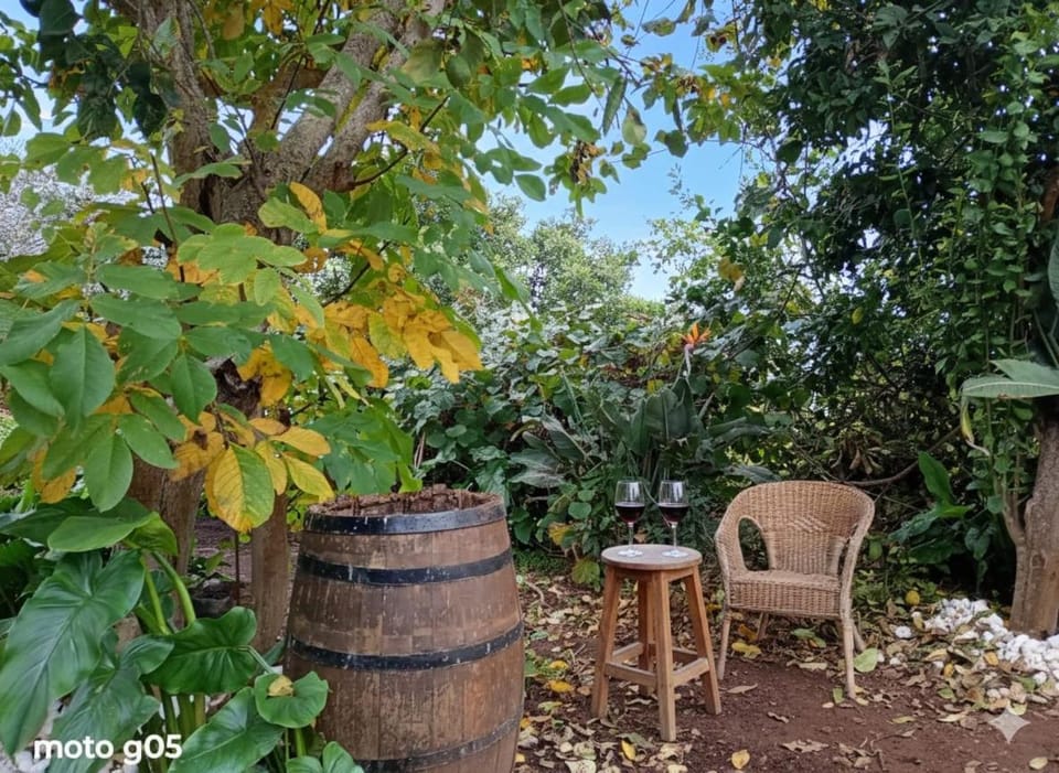 Finca Rural El Pajar santa Ursula Country House in Canary Islands