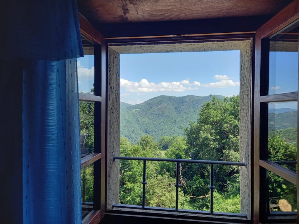 View (from property/room)