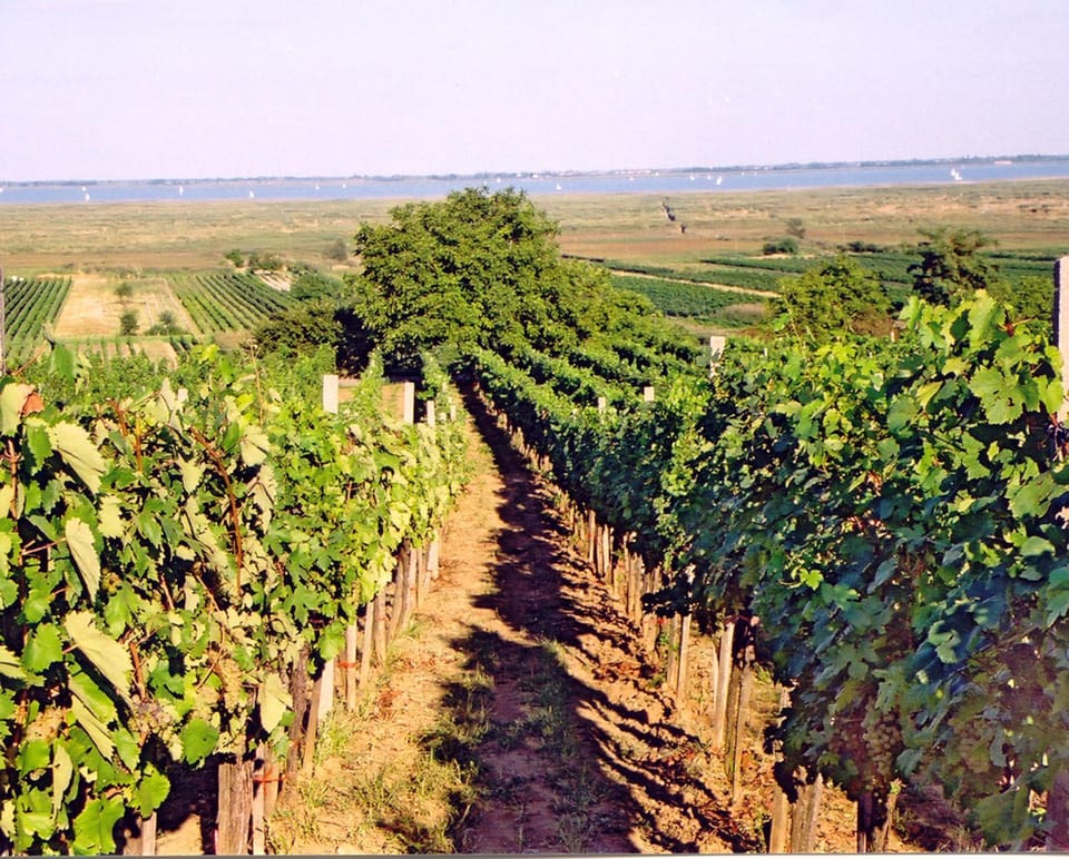 Natural landscape