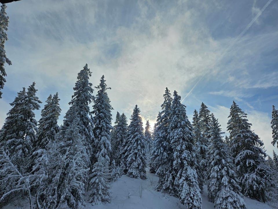 Day, Natural landscape, Winter