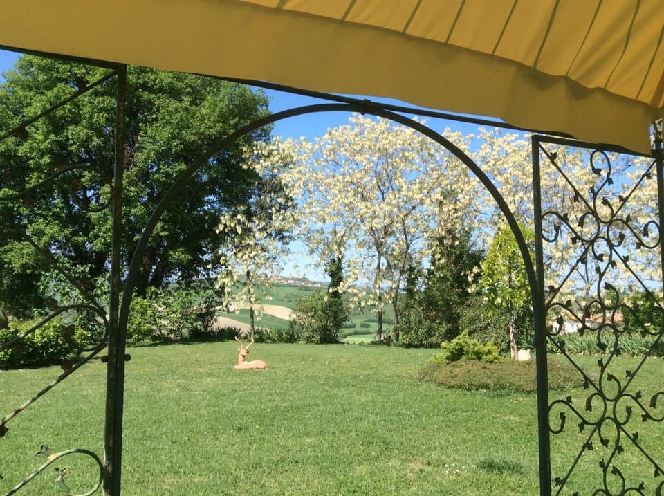 Garden, Inner courtyard view