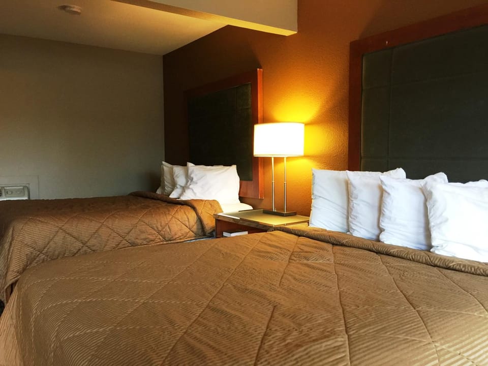 Bed, Bed
