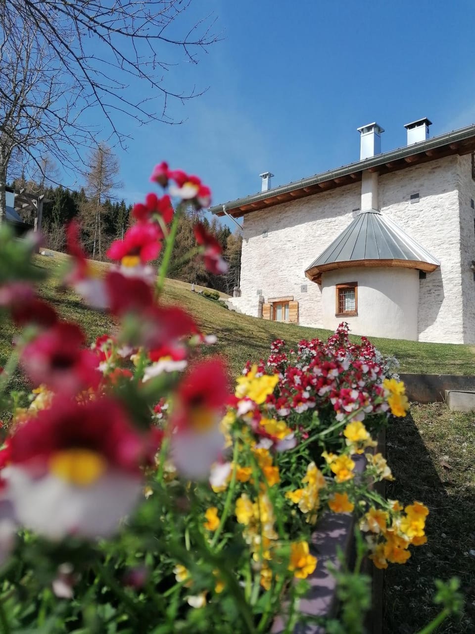 Property building, Spring