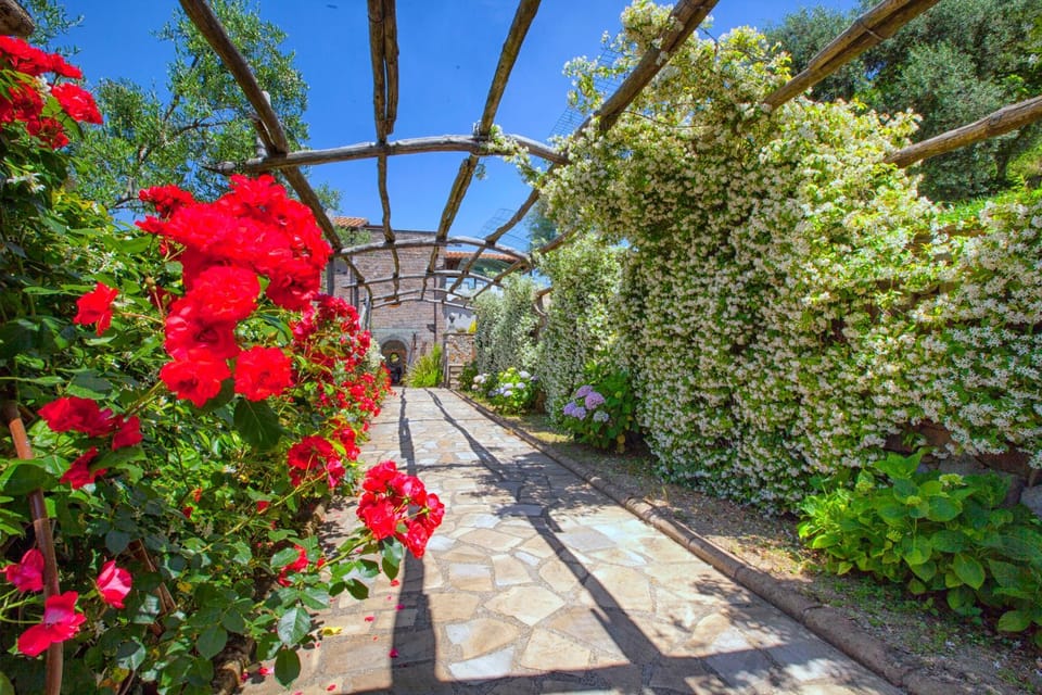 Facade/entrance, Garden