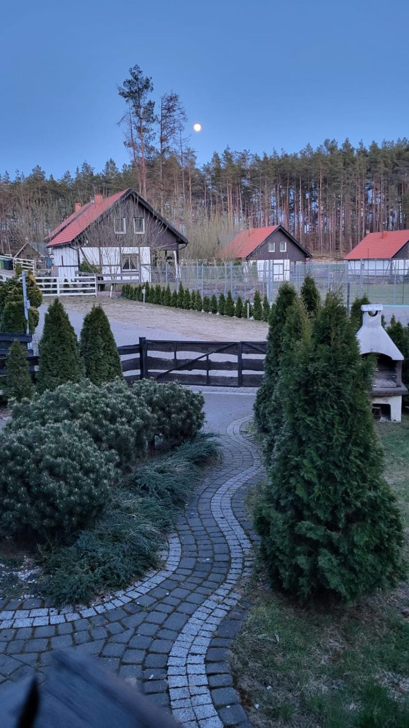 Natural landscape, Garden