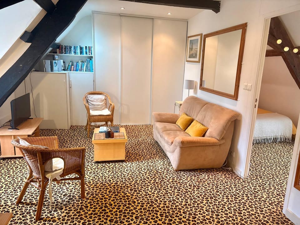 Le Cocon - La Vue des Remparts- Historical center Apartment in Brittany