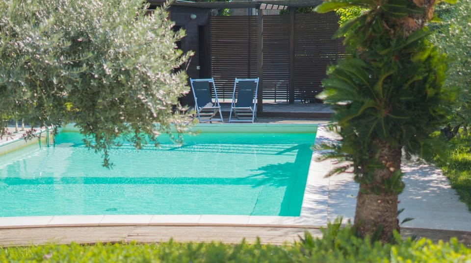 Spring, Day, Garden, Garden view, Pool view, Swimming pool, sunbed