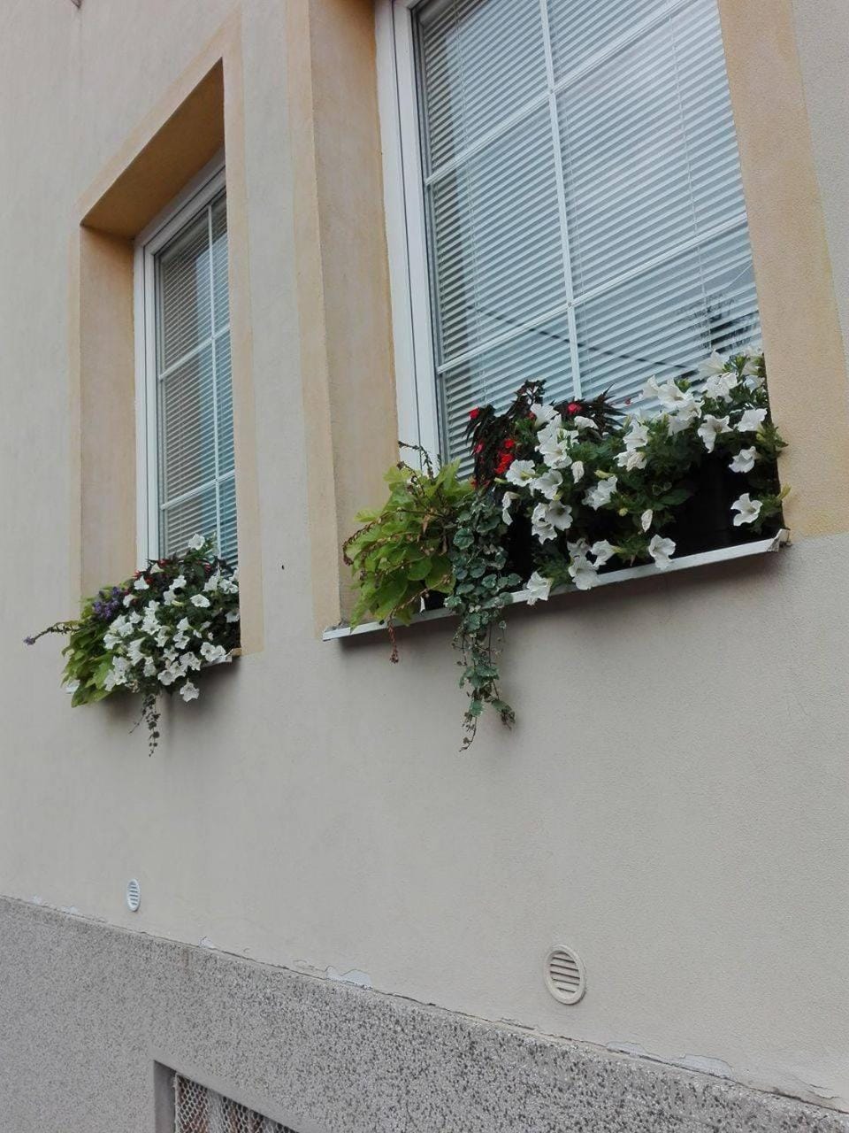 Property building, Facade/entrance
