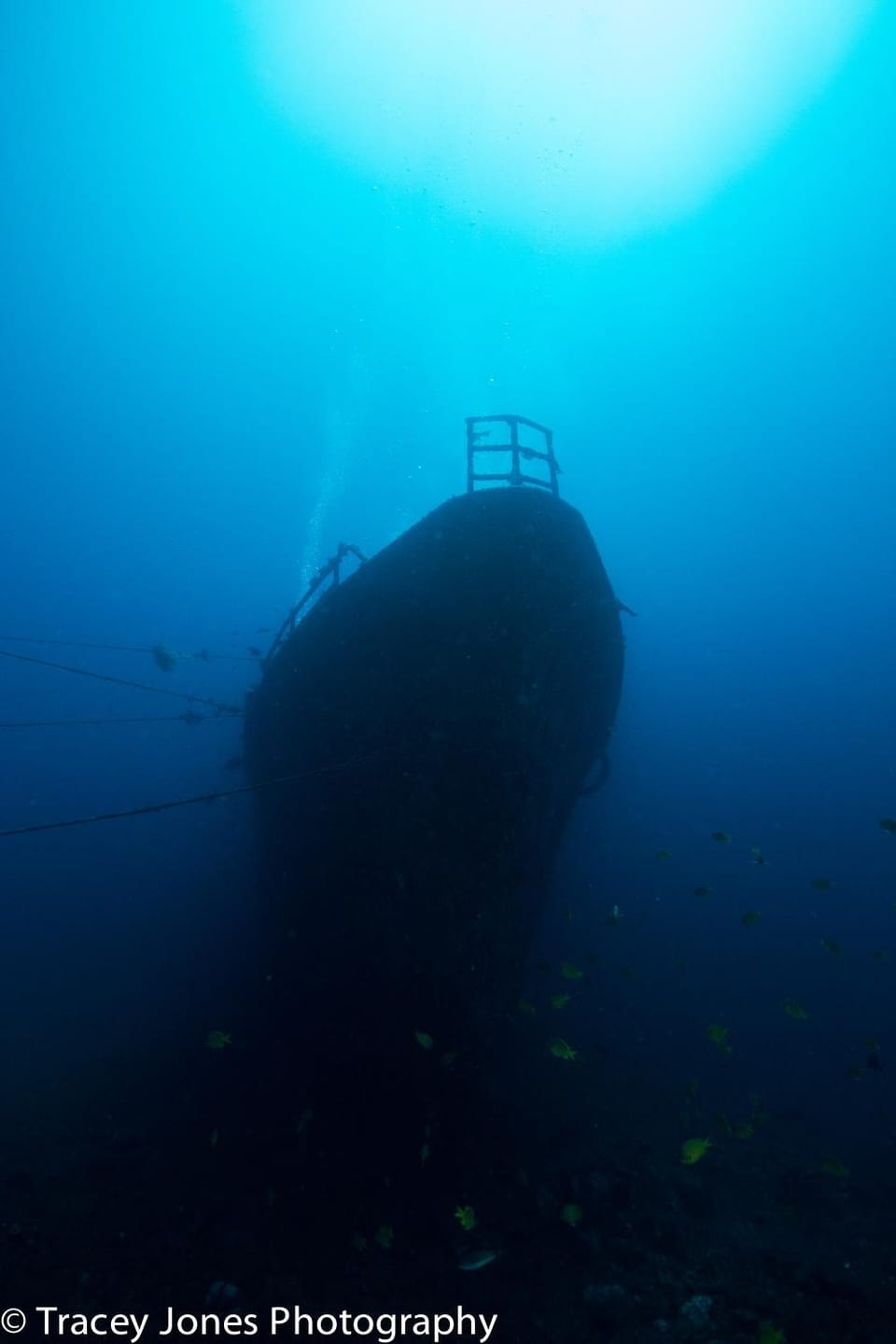Diving