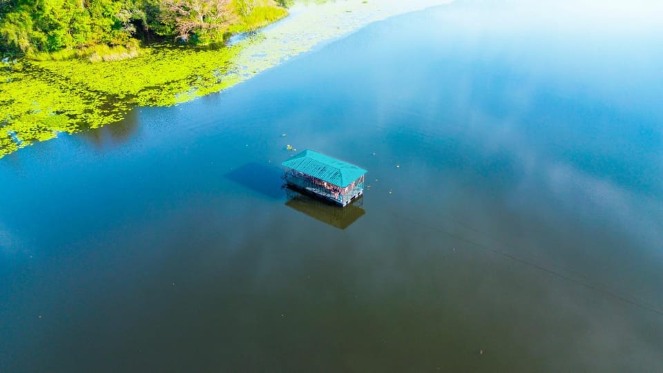 Lake view