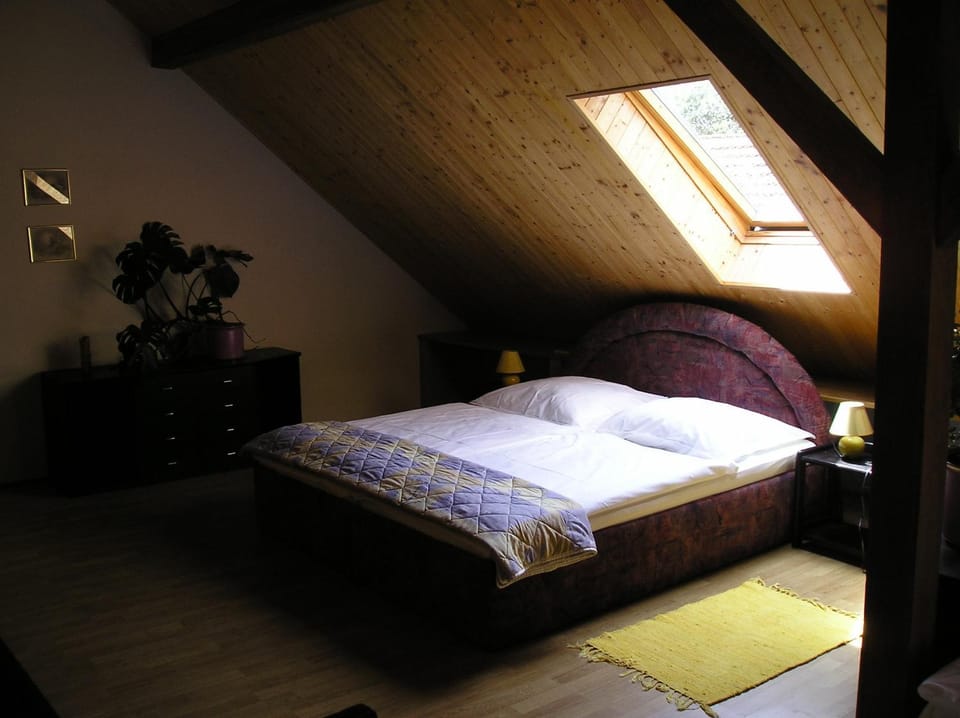 Pension Lažany Bed and Breakfast in South Bohemian Region