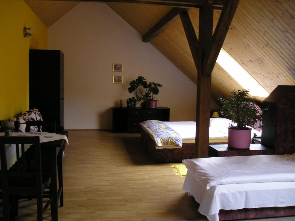 Pension Lažany Bed and Breakfast in South Bohemian Region