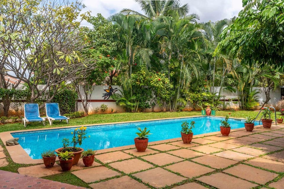 Pool view