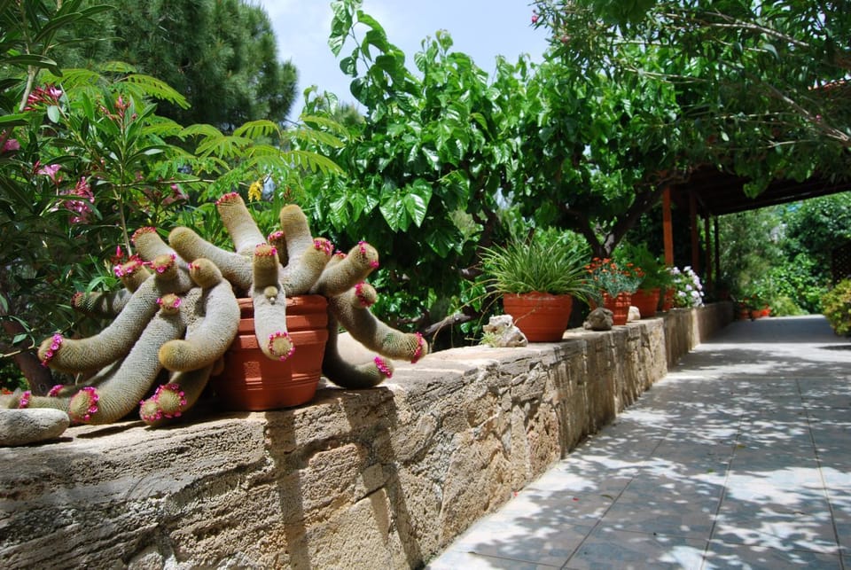 Golden Sun Apartments Apartment in Crete