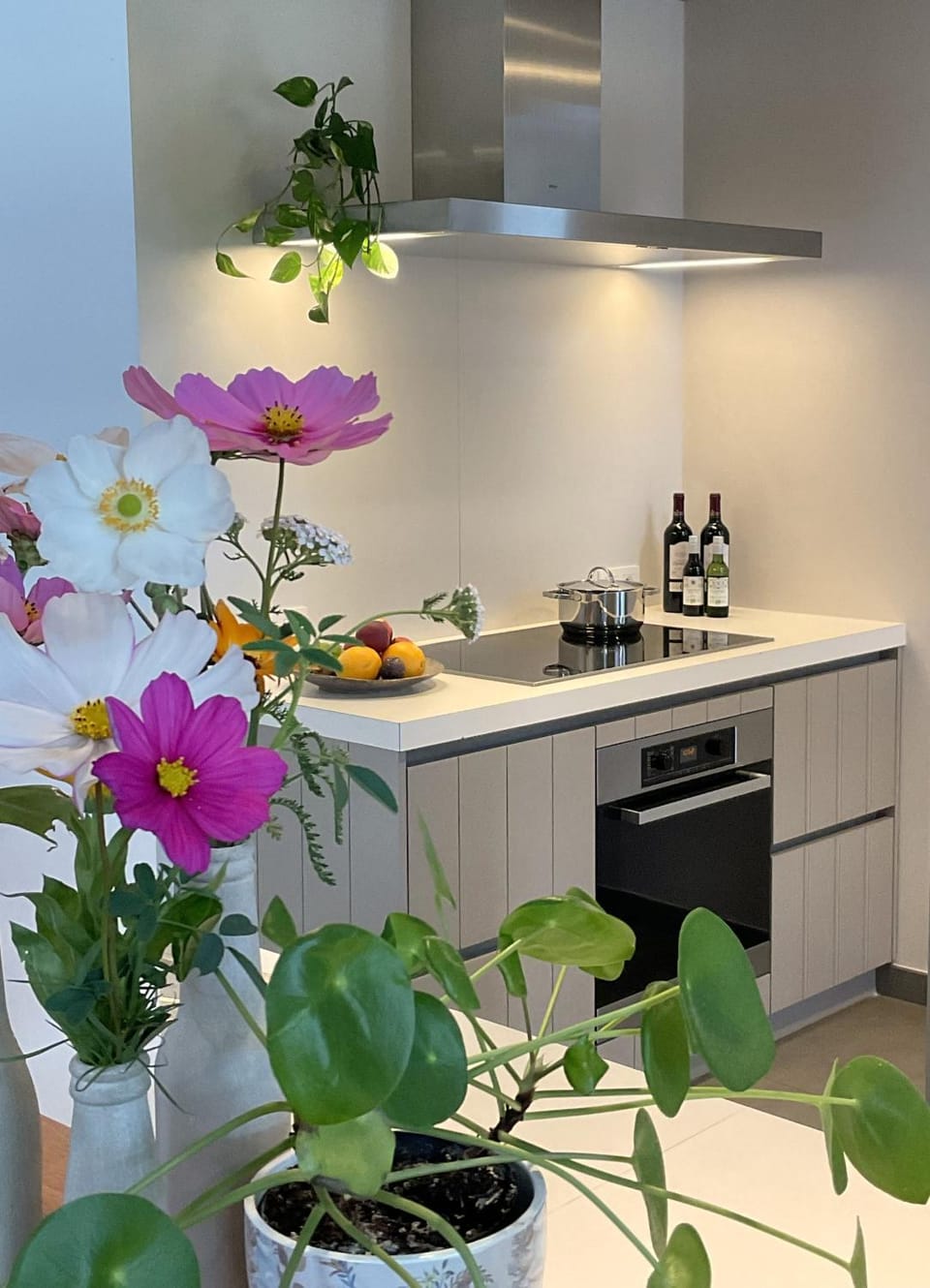 Communal kitchen, kitchen