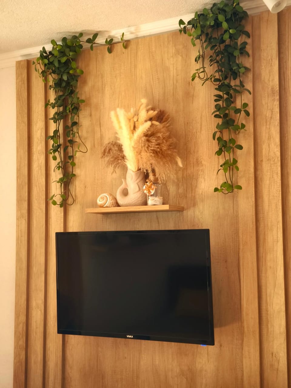 TV and multimedia