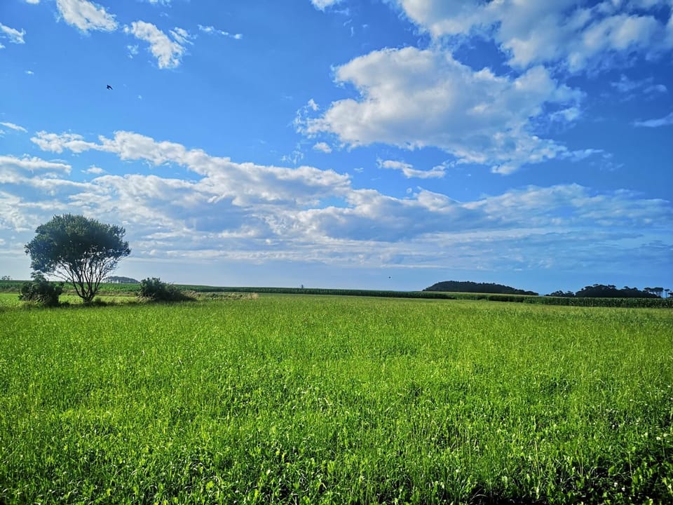 Nearby landmark, Day, Natural landscape
