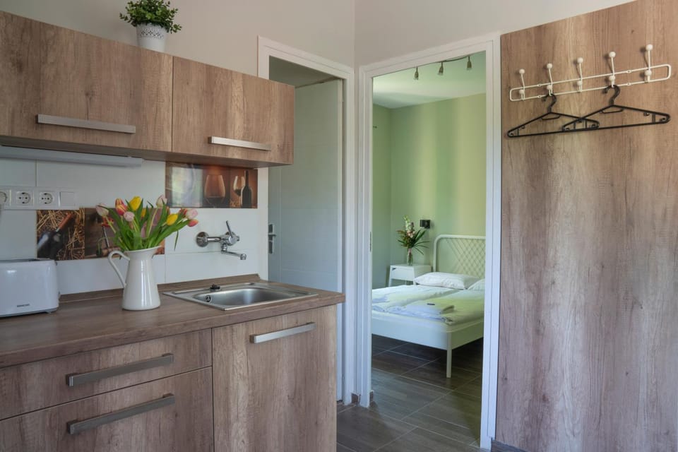 Kitchen or kitchenette, Bedroom