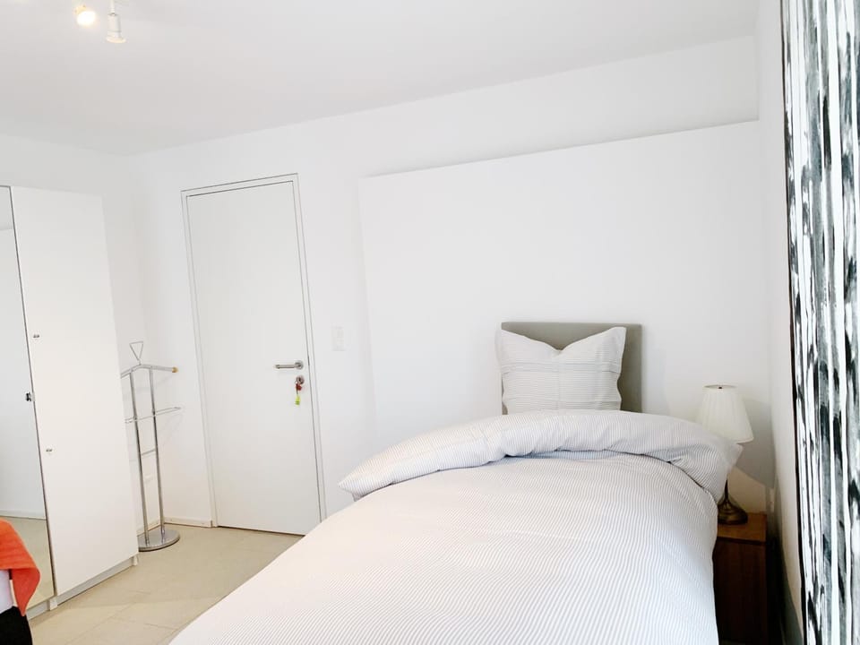 N1 Standalone House Baden Apartment in Aargau, Switzerland