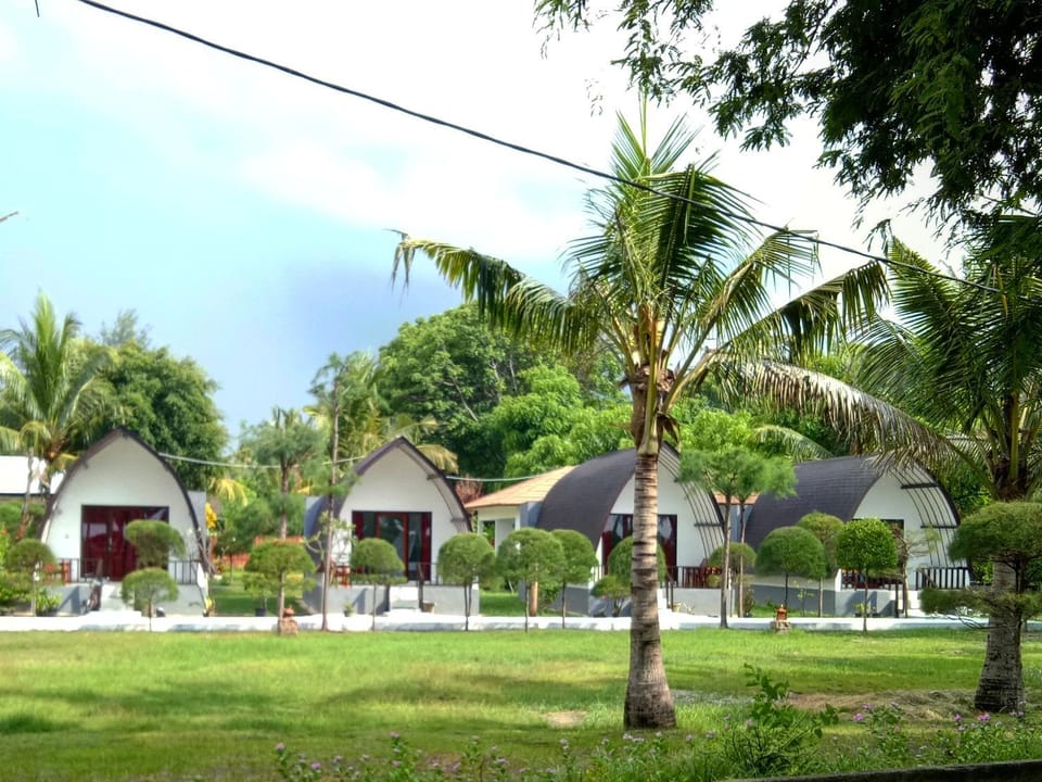 Property building, Garden view