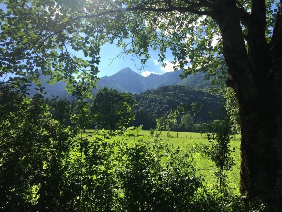 Premium-Chalet Achental mit Kamin und Sauna Apartment in Salzburgerland