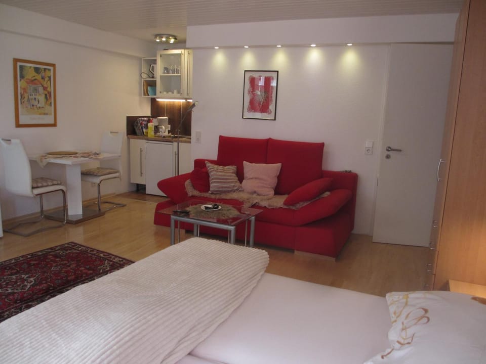 Im Zentrum Am Hebelhof 1Zi. Apartment in Freiburg