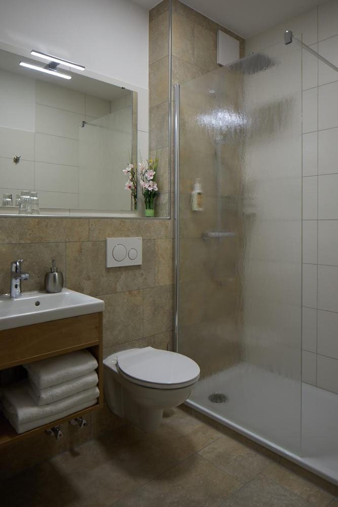 Shower, Toilet, Bathroom, towels
