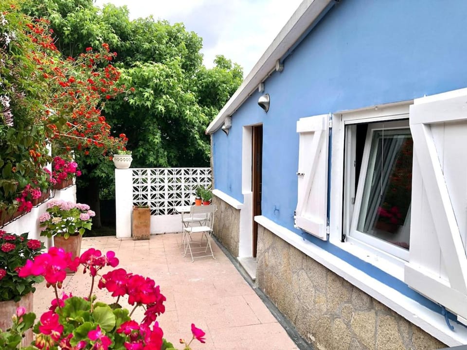 Property building, Garden, Balcony/Terrace