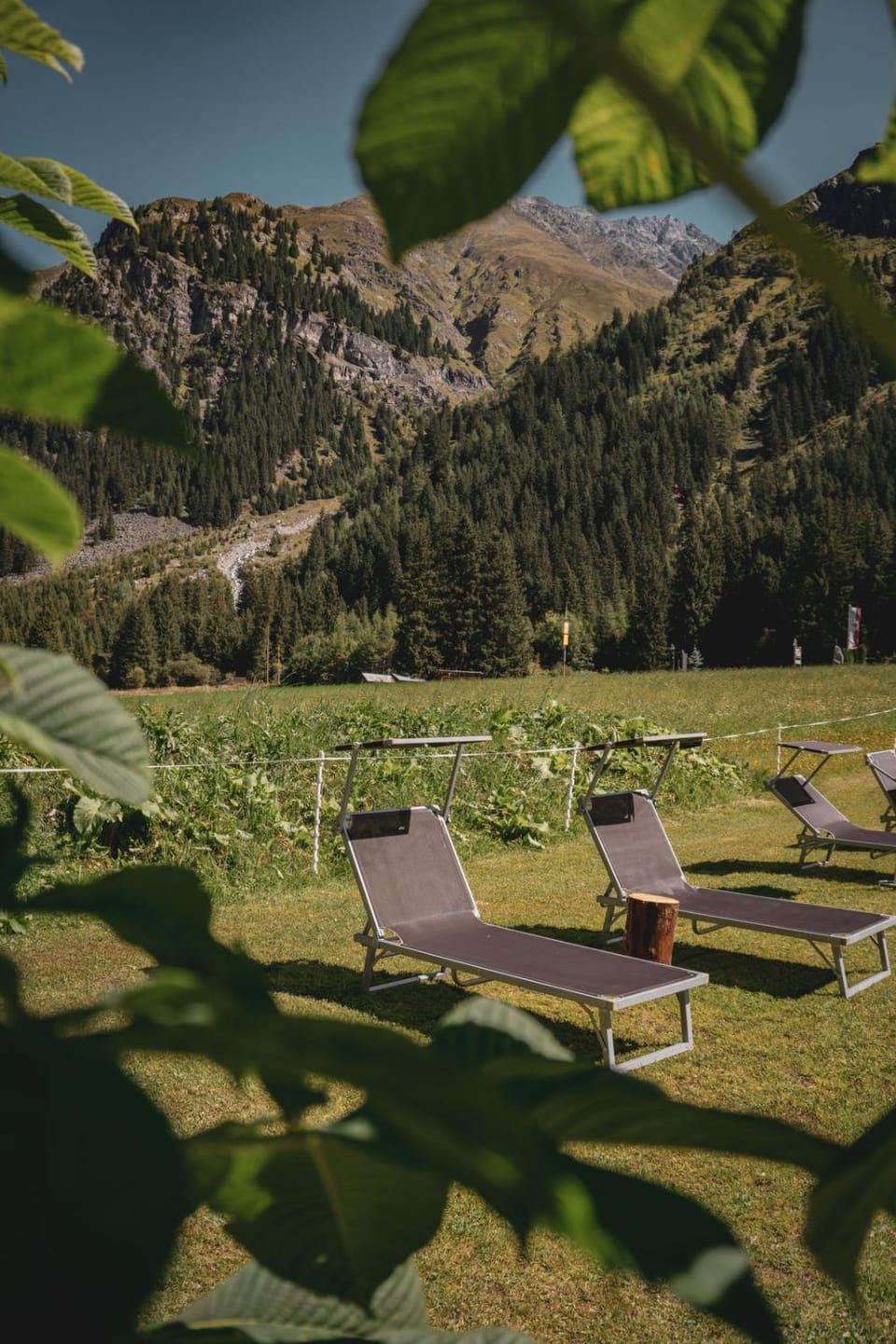 Pension Steinkogel Bed and Breakfast in Trentino-South Tyrol