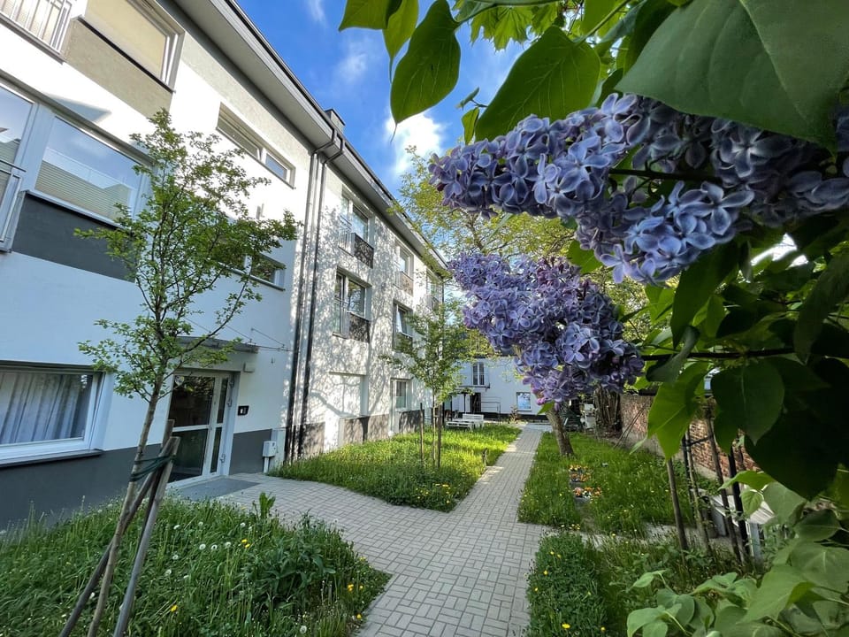 Property building, Day, Garden, Kitchen or kitchenette, Living room, Garden view, Quiet street view, Parking