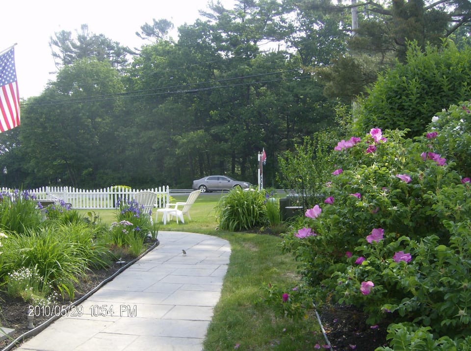 Garden, Garden view