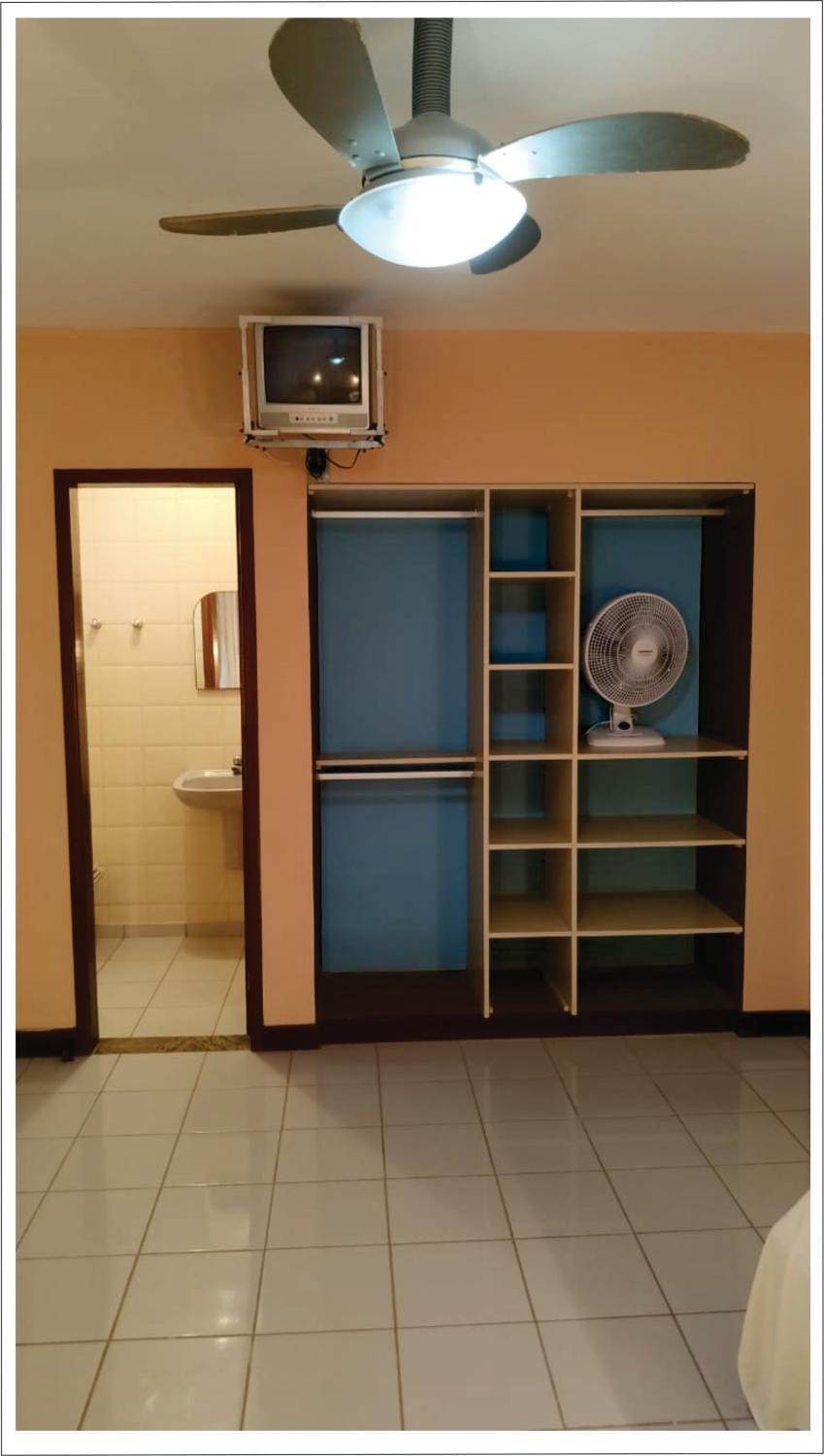 fireplace, wardrobe, air conditioner