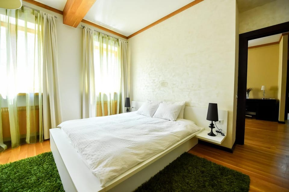 Luxury Apartment Apartment in Brasov