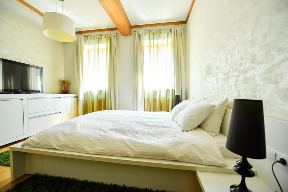 Luxury Apartment Apartment in Brasov