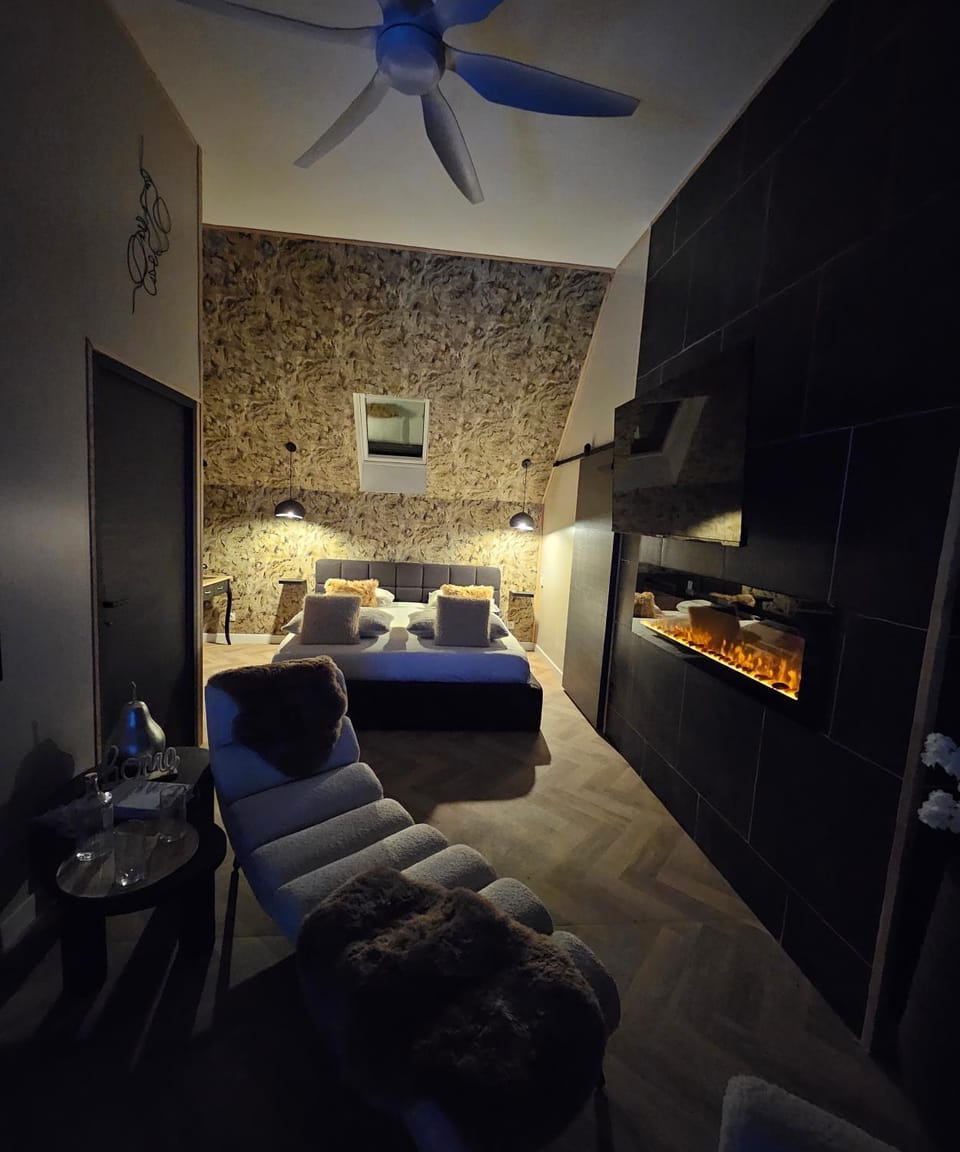 Bed, Photo of the whole room, Bedroom, fireplace